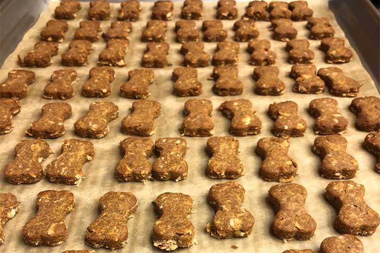 Dog biscuits crowded on the baking sheet