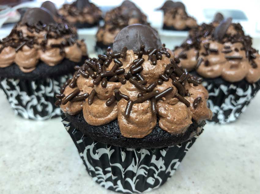 Ultimate Chocolate Cupcake