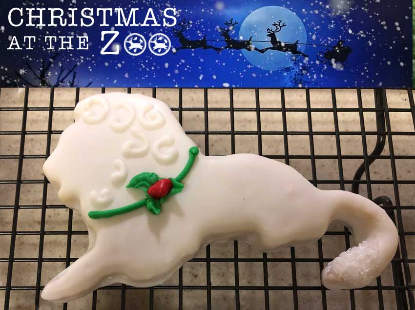 Christmas at the Zoo