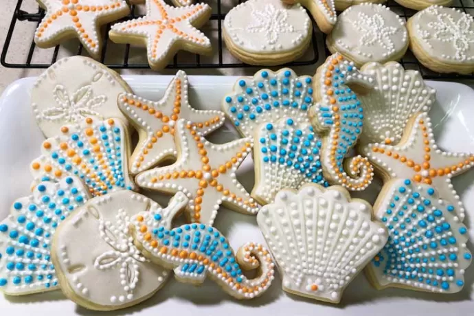 Showcase image: Sand dollars, Seahorses, Starfish, Shells