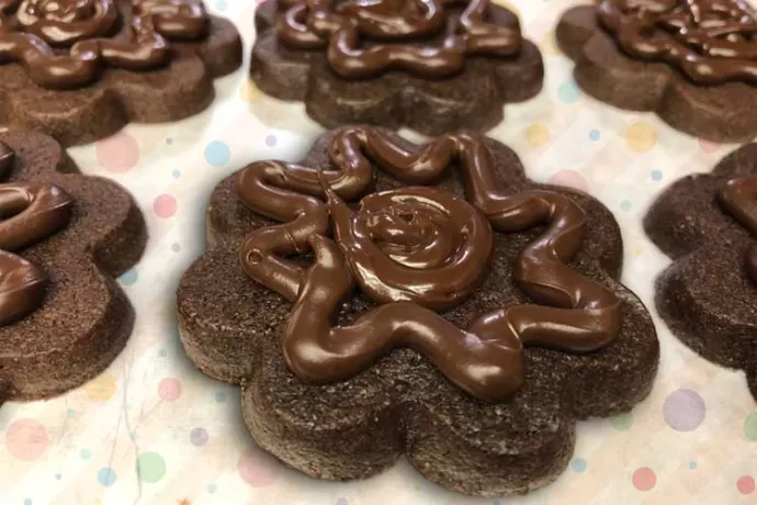 Chocolate Roll-out Cookies