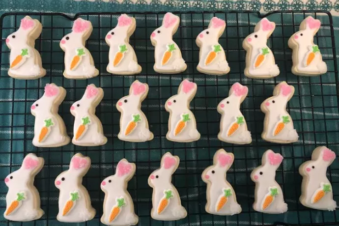 Bunnies Galore